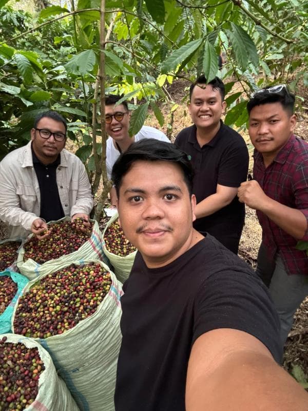 Palm Oil Plantation